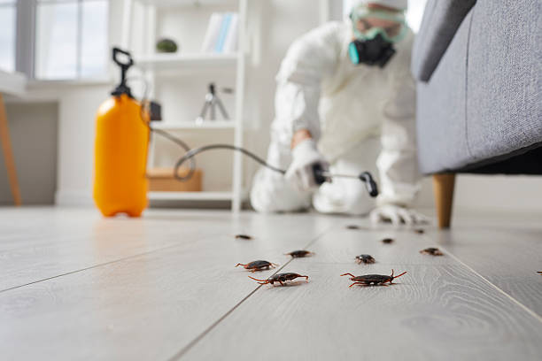 Commercial Kitchen Cockroach Control in Congress